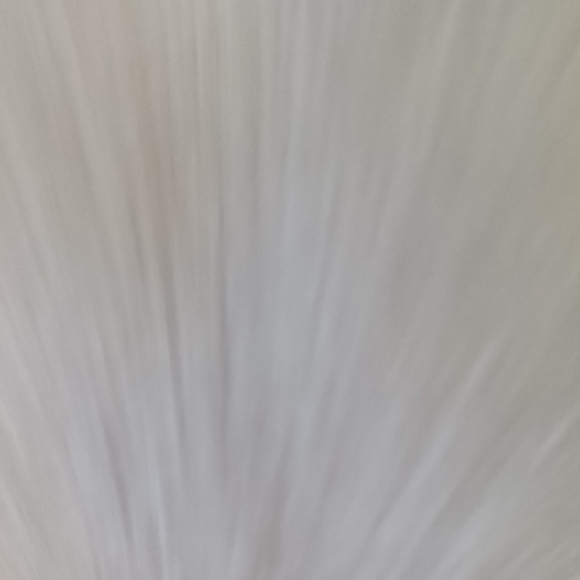 True Religion Boardshorts - Picture 4 of 10